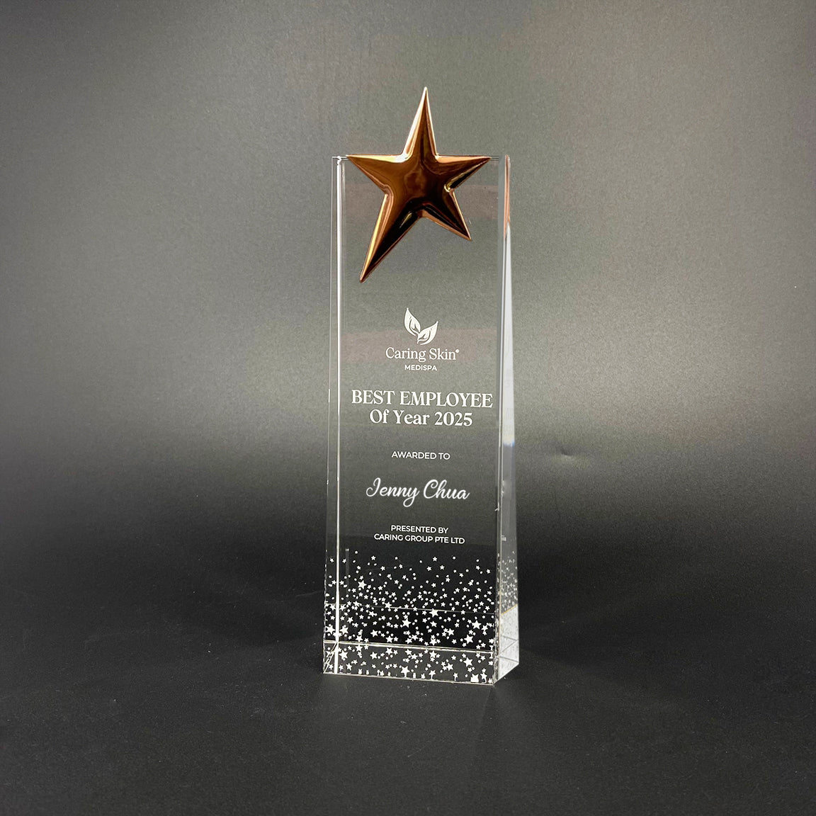 Elite Star Crystal Award